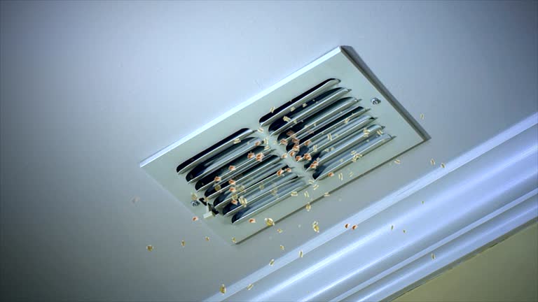 Best Home Air Vent Cleaning  in Lavonia, GA